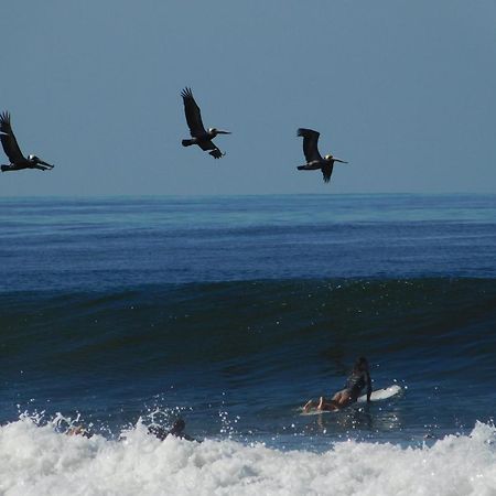 Cabinas Playa Surf Hostel Playa Santa Teresa  Екстер'єр фото