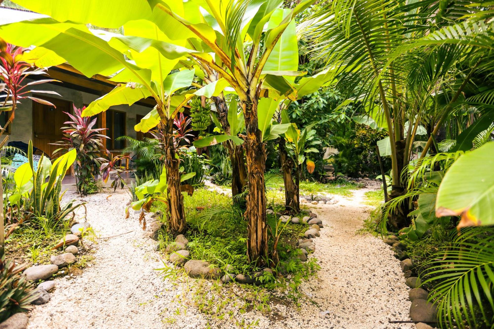 Cabinas Playa Surf Hostel Playa Santa Teresa  Екстер'єр фото