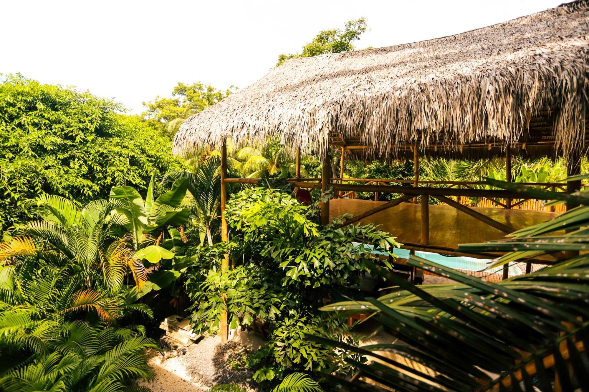 Cabinas Playa Surf Hostel Playa Santa Teresa  Екстер'єр фото