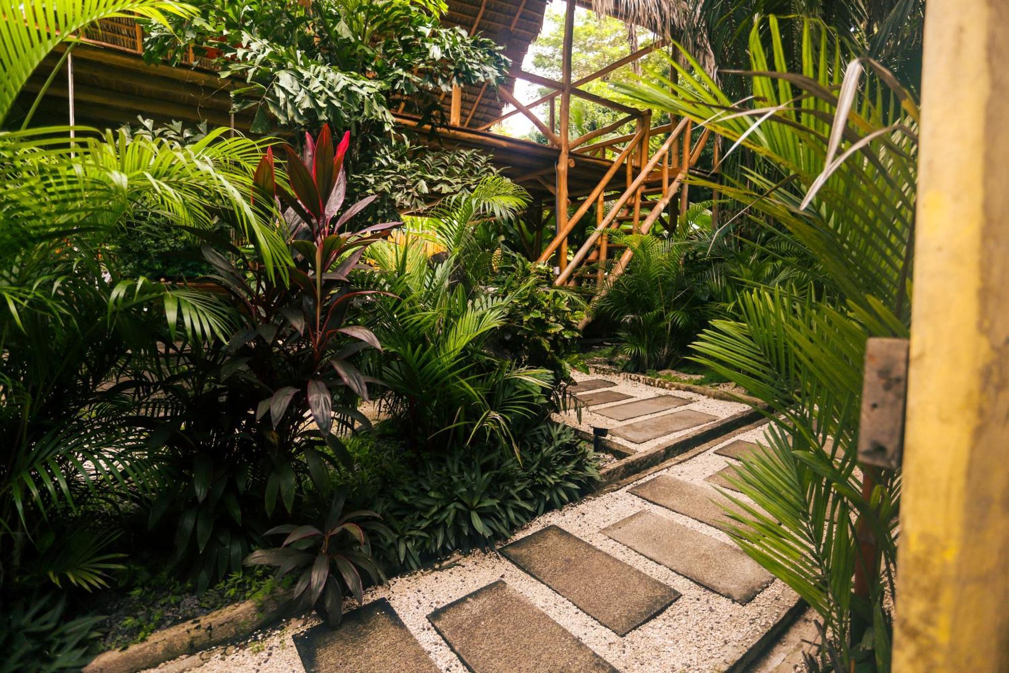 Cabinas Playa Surf Hostel Playa Santa Teresa  Екстер'єр фото