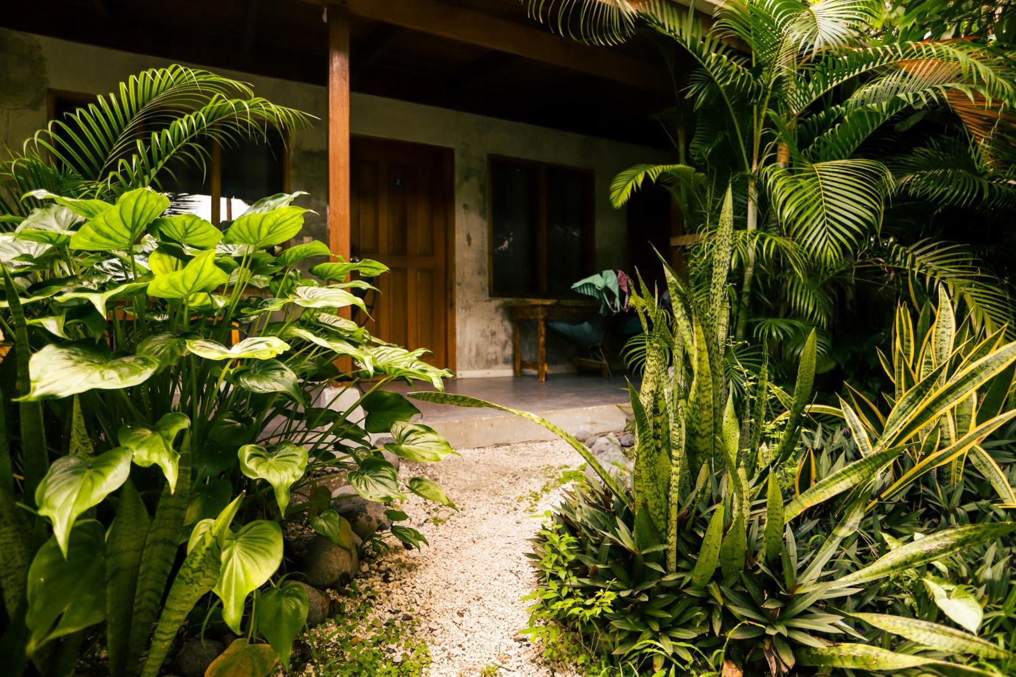 Cabinas Playa Surf Hostel Playa Santa Teresa  Екстер'єр фото