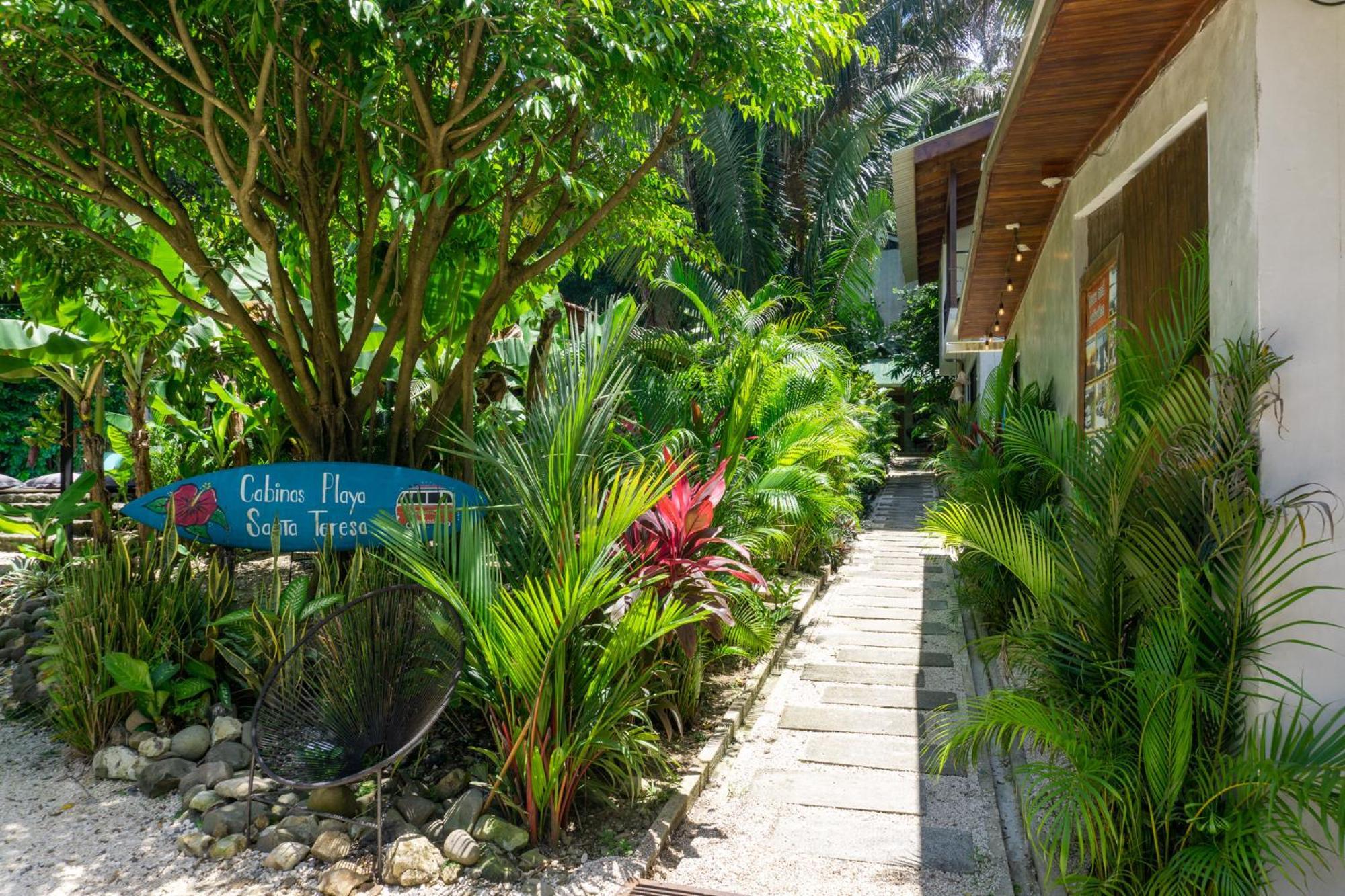 Cabinas Playa Surf Hostel Playa Santa Teresa  Екстер'єр фото