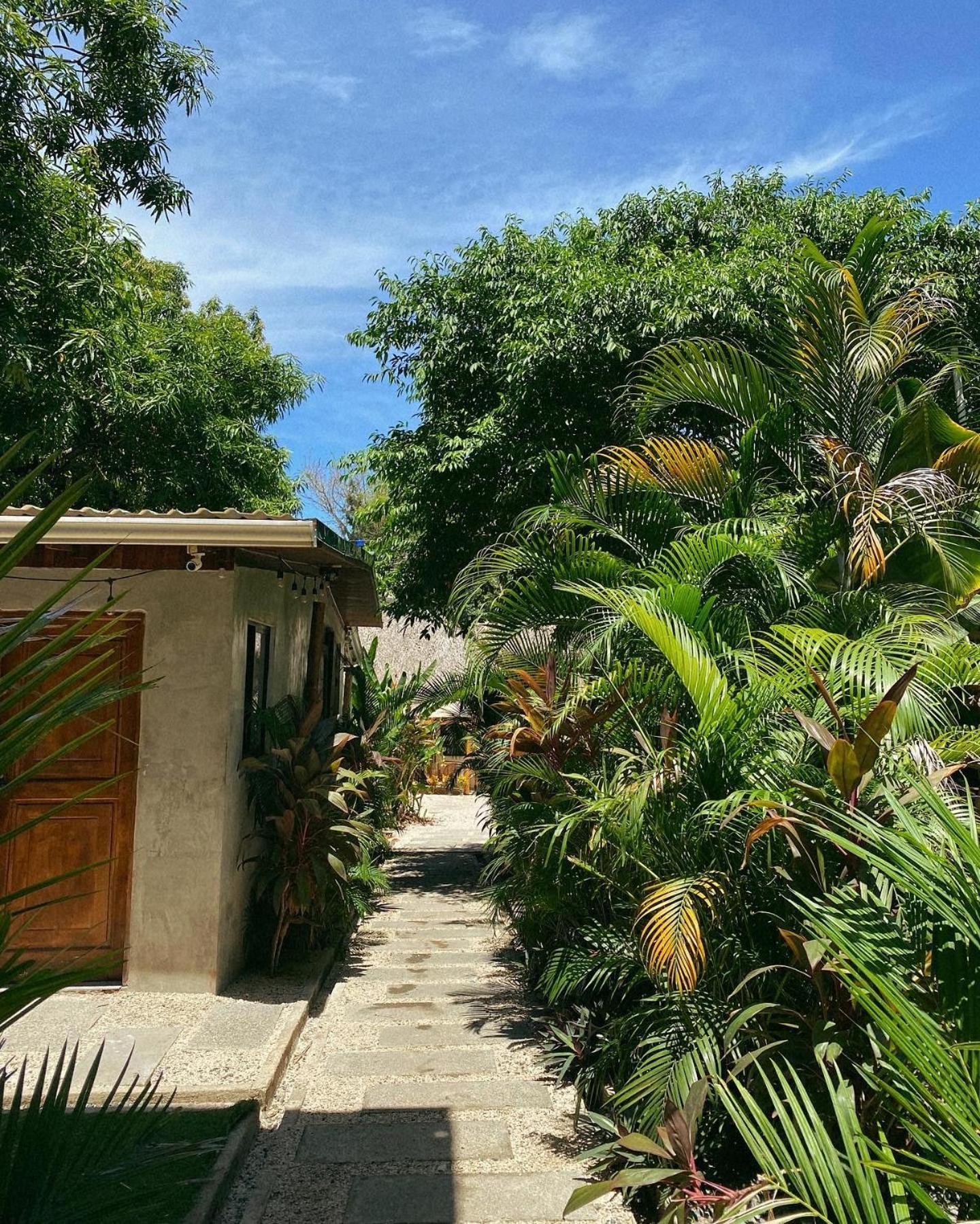 Cabinas Playa Surf Hostel Playa Santa Teresa  Екстер'єр фото